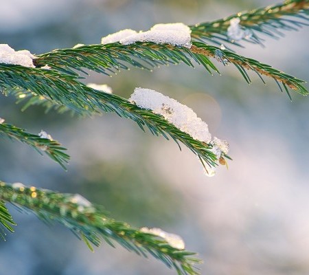 Single Project – 2/3 Slider